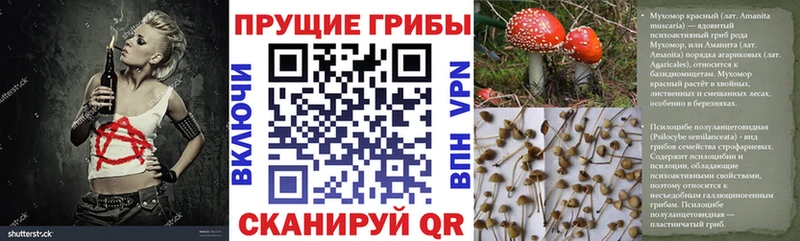 Псилоцибиновые грибы Psilocybe  kraken как войти  Якутск 