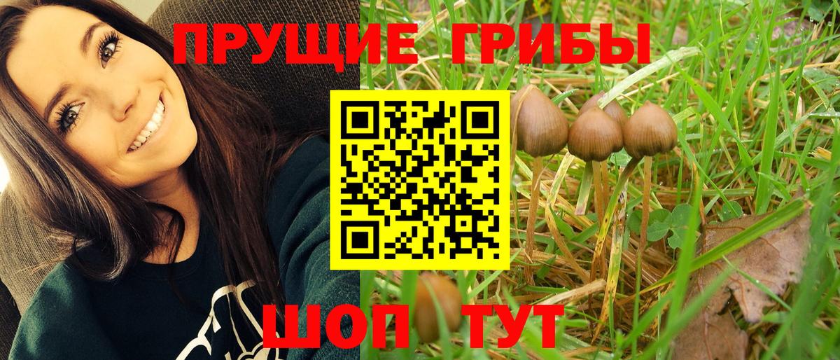 наркошоп  Псилоцибиновые грибы ЛСД  Вход с VPN  Якутск 